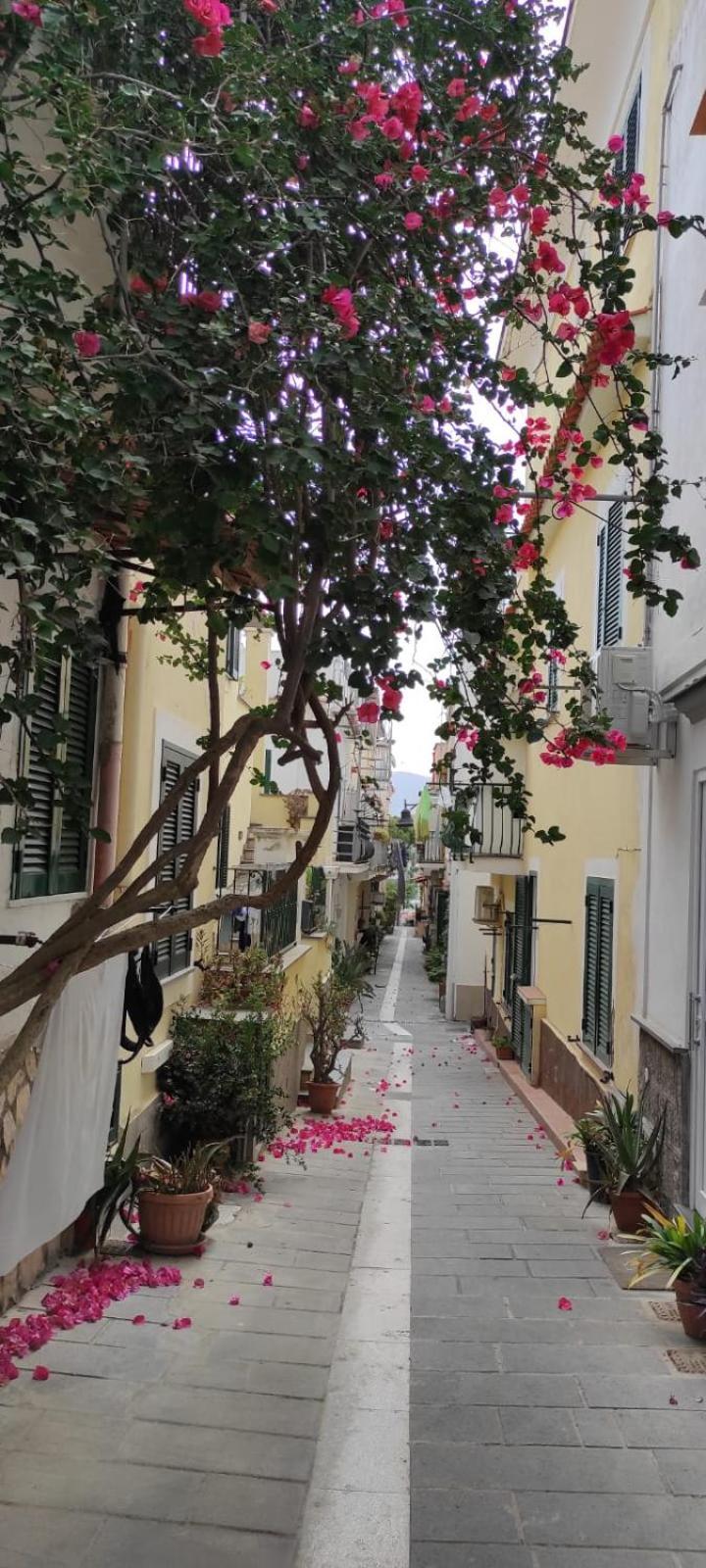 La Casa Rosa Di Giulia Villa Ischia Buitenkant foto