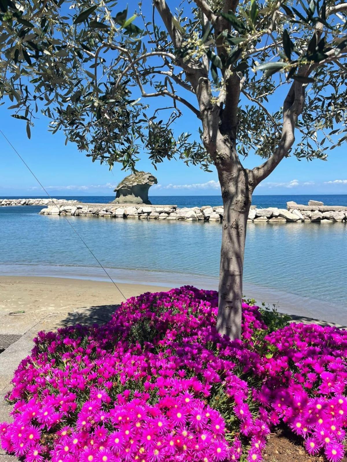 La Casa Rosa Di Giulia Villa Ischia Buitenkant foto